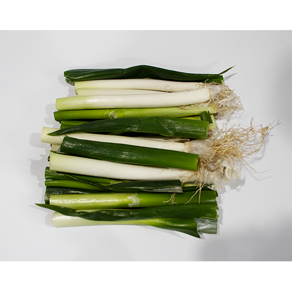 국산 (손질)절단대파 1단 800g~1kg